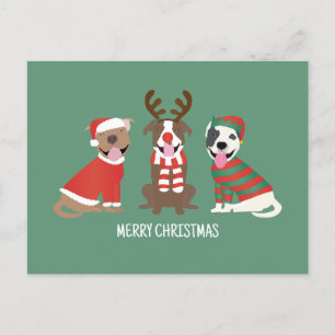 Cartão Postal De Festividades Merry Christmas Pit Bull Cães