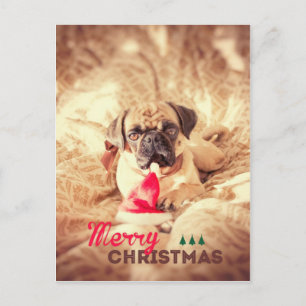Cartão Postal De Festividades Merry Christmas Pug