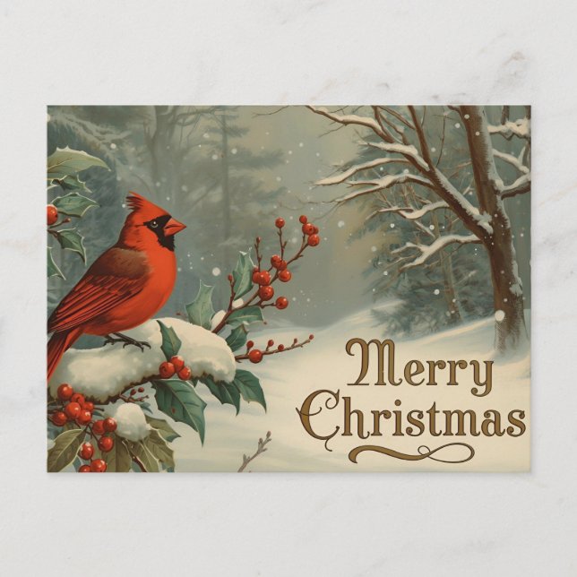 Cartão Postal De Festividades Merry Christmas Red Cardinal and Winter Berries  (Frente)