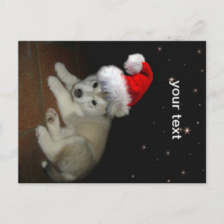 Cartão Postal De Festividades Merry Xmas Puppy