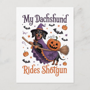 Cartão Postal De Festividades Meu Dachshund Viaja no Banco da Frente