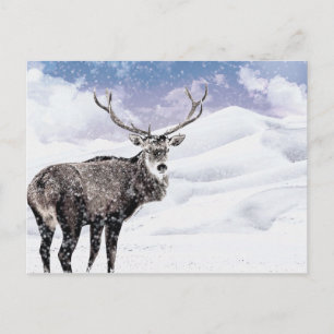 Cartão Postal De Festividades Minha estátua de inverno de Natal!