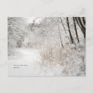 Cartão Postal De Festividades Minimal Winter Forest Path, New Year