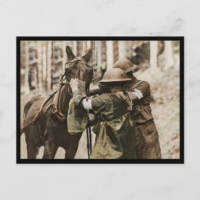 Cartão Postal De Festividades Missouri Mule em uma Máscara de Gás (Frente)