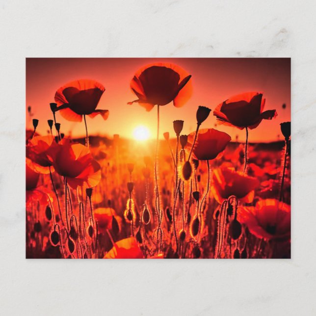 Cartão Postal De Festividades Mohn im Gegenlicht (Frente)