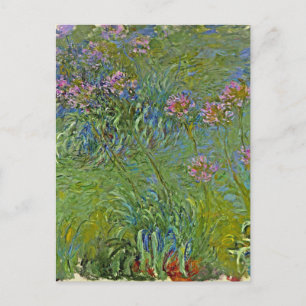 Cartão Postal De Festividades Monet - Flores Agapanthus,