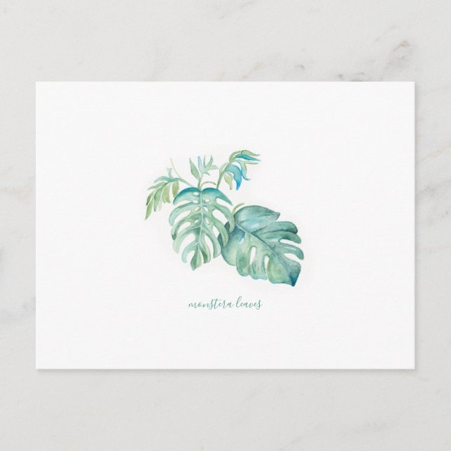 Cartão Postal De Festividades Monstera Tropical (Frente)