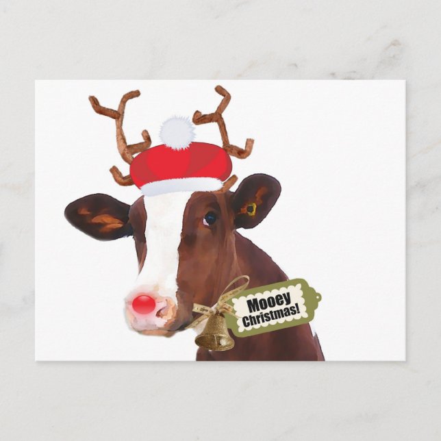 Cartão Postal De Festividades Mooey Felry Christmas Reindeer Cow (Frente)