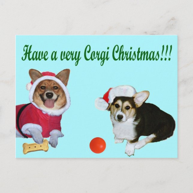 Cartão Postal De Festividades Muito Natal M do Corgi & cartão de turquesa de G (Frente)