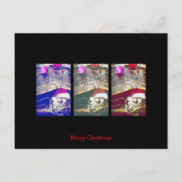 Cartão Postal De Festividades Murtle, a Tartaruga de Natal