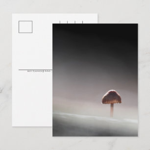 Cartão Postal De Festividades Mushroom Nature Photo
