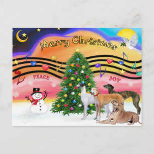 Cartão Postal De Festividades Música de Natal 2 - Galgos (4)