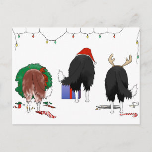 Cartão Postal De Festividades Nada De Bumbum De Fronteira De Natal Collie