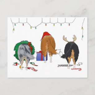 Cartão Postal De Festividades Nada de Bumbum de Natal Collie