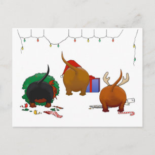 Cartão Postal De Festividades Nada de Bumbum de Natal Doxie
