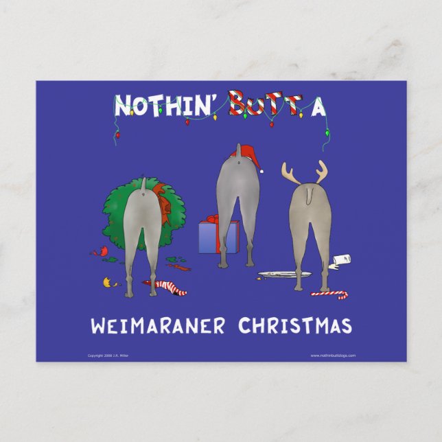 Cartão Postal De Festividades Nada termina um Natal de Weimaraner (Frente)