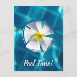 Cartão Postal De Festividades Nadar Piscina Espumante Água com Presente Flor