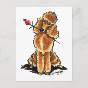 Cartão Postal De Festividades Namorados Apricot Poodle Sweetheart