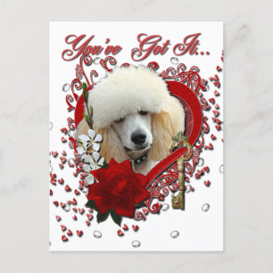 Cartão Postal De Festividades Namorados - Chave do Meu Coração - Poodle - Aprico