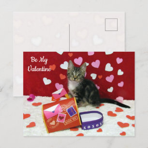 Cartão Postal De Festividades Namorados de Bandit - Cartão de Gato / Gatinho