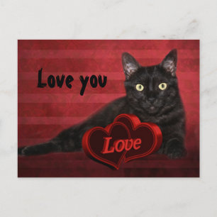 Cartão Postal De Festividades Namorados de gato preto