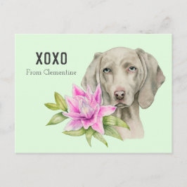 Cartão Postal De Festividades Namorados do cão XOXO | de Weimaraner