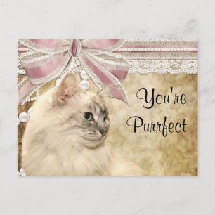 Cartão Postal De Festividades Namorados do gatinho de Purrfect