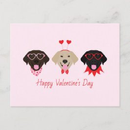 Cartão Postal De Festividades Namorados felizes Cachorros do Labrador Retriever