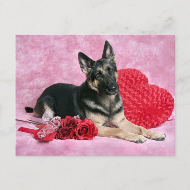 Cartão Postal De Festividades Namorados german shepherd (Frente)