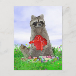 Cartão Postal De Festividades Namorados Raccoon Bandit