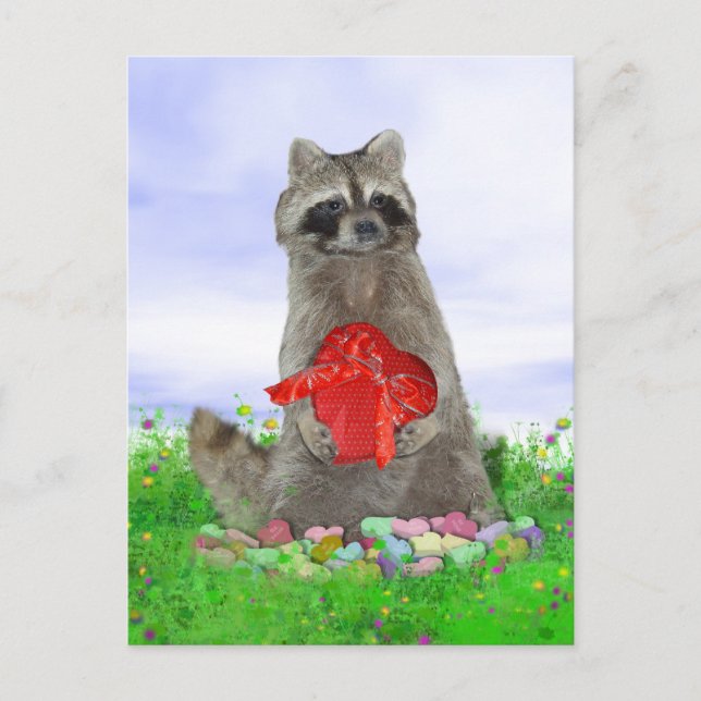 Cartão Postal De Festividades Namorados Raccoon Bandit (Frente)