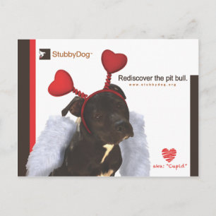 Cartão Postal De Festividades Namorados StubbyDog nº 2