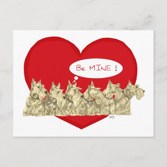 Cartão Postal De Festividades Namorados Wheaten Scotties (Frente)