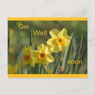 Cartão Postal De Festividades Narcisos Laranja Amarelo Cartão de Melhoras Person