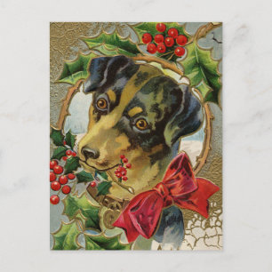 Cartão Postal De Festividades Natais vintages, Cachorro Dachshund com Holly