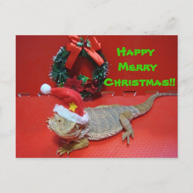 Cartão Postal De Festividades Natal (Frente)
