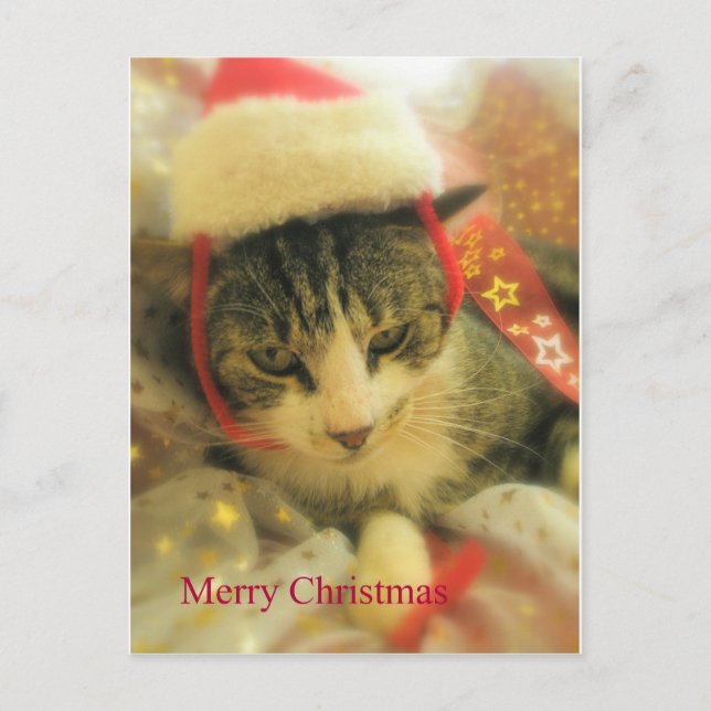 Cartão Postal De Festividades Natal (Frente)