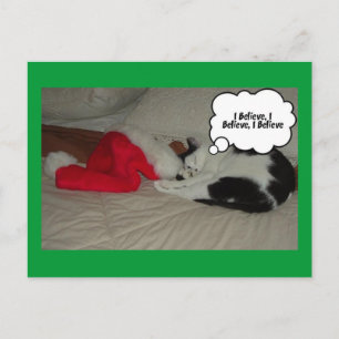 Cartão Postal De Festividades Natal Acredita no Black and White Kitten