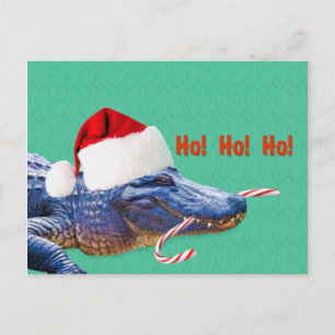 Cartão Postal De Festividades Natal, Alligator com Santa Hat