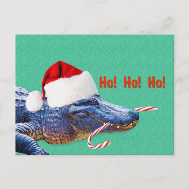 Cartão Postal De Festividades Natal, Alligator com Santa Hat (Frente)