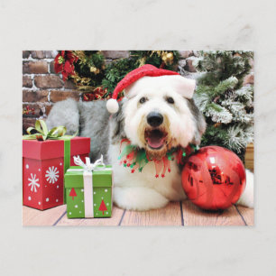 Cartão Postal De Festividades Natal - Antigo cão pastor inglês - Alphy