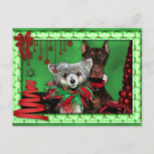 Cartão Postal De Festividades Natal - Árvore Vermelha de Fita - Doberman Crestie
