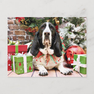 Cartão Postal De Festividades Natal - Basset Hound - Jasmine