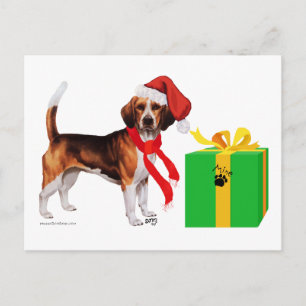 Cartão Postal De Festividades Natal Beagle