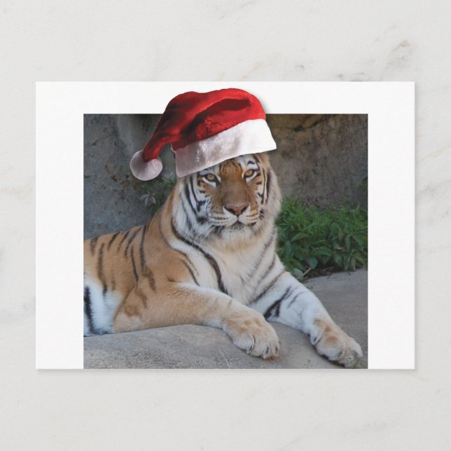 Cartão Postal De Festividades Natal Bengal Tiger (Frente)