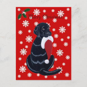 Cartão Postal De Festividades Natal Black Labrador & Santa Hat Floco