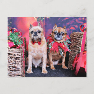 Cartão Postal De Festividades Natal - Bruxelas Griffon - Marv e Marge