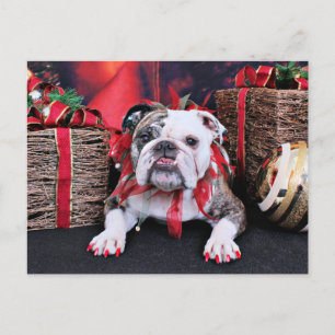 Cartão Postal De Festividades Natal - Bulldog - Delilah