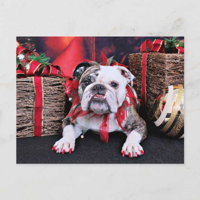 Cartão Postal De Festividades Natal - Bulldog - Delilah (Frente)