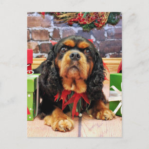 Cartão Postal De Festividades Natal - Cavalier King Charles Spaniel SweetPea
